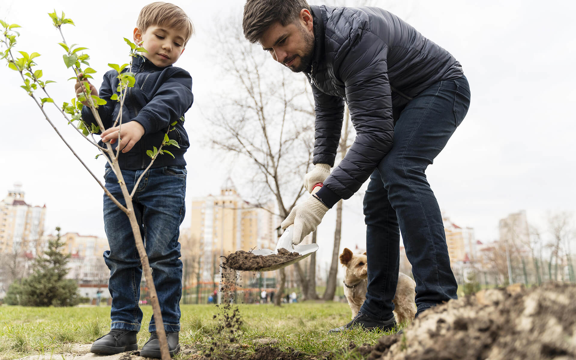 Project: Planting 300 trees in the city